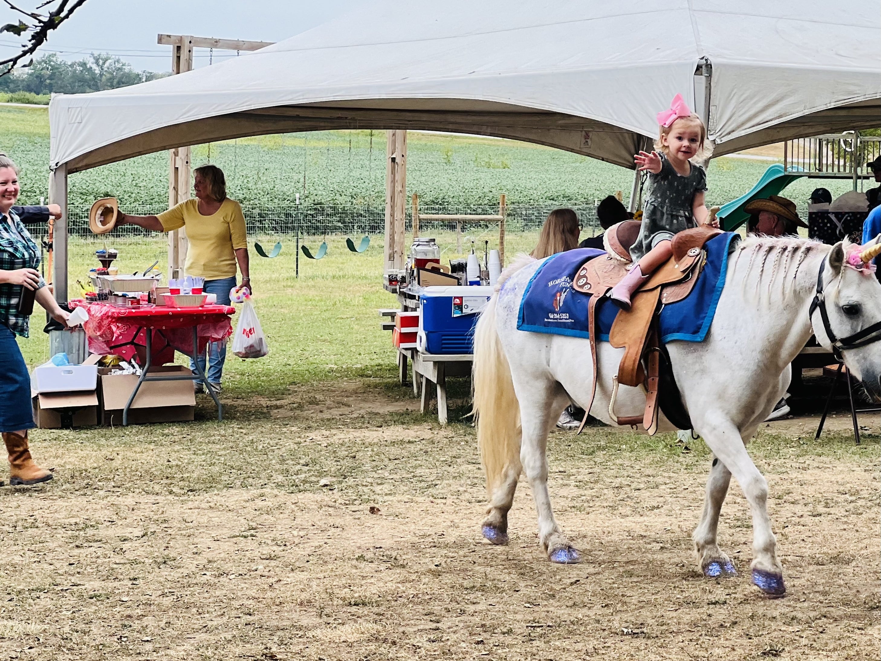 horseback riding ohio, pony farms near me, horseback riding services near me, horse riding service near me, pony ride service, horseback riding columbus oh