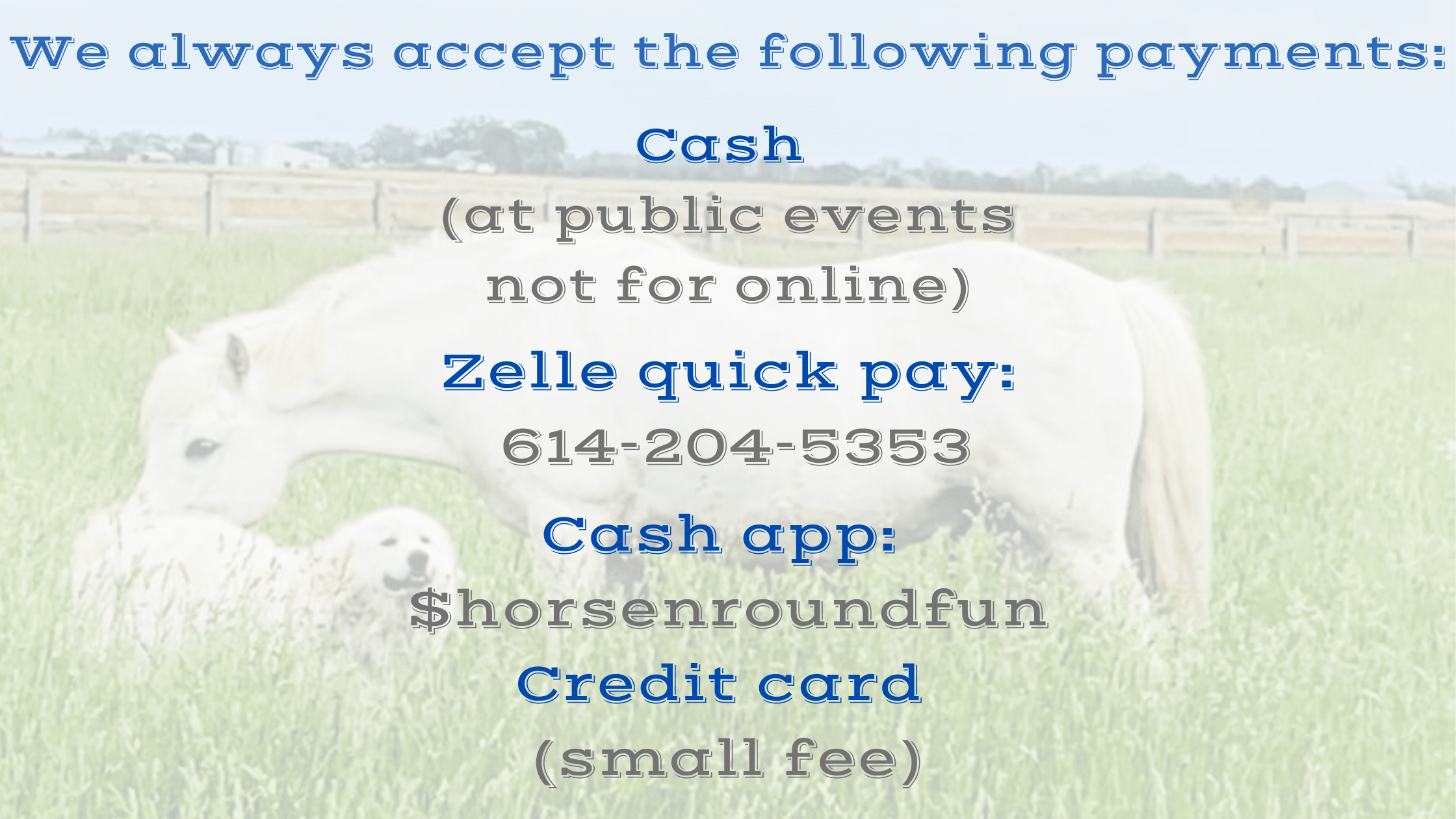 lancaster petting zoo, canal winchester petting zoo, rent a pony for birthday party near me, easter programs for small churches, petting zoo for parties near me