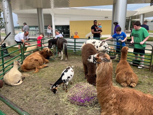 petting zoo for birthday party near me, pony for rent for birthday party, pony riding party, rent animals for parties, rent animal for party, circleville ohio