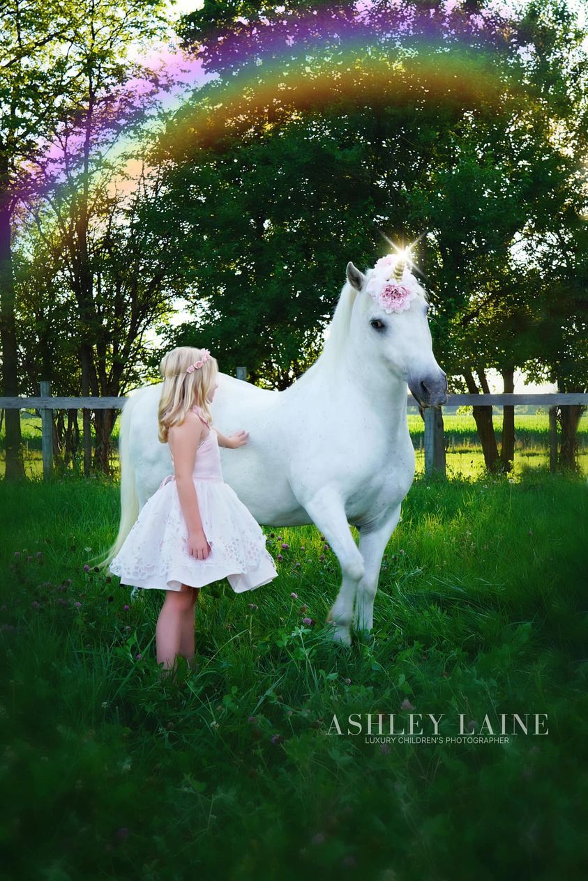 horse petting farms near me, petting zoo and pony rides near me, pony rides and petting zoo near me, farms with pony rides near me, mobile pony rides, ohio